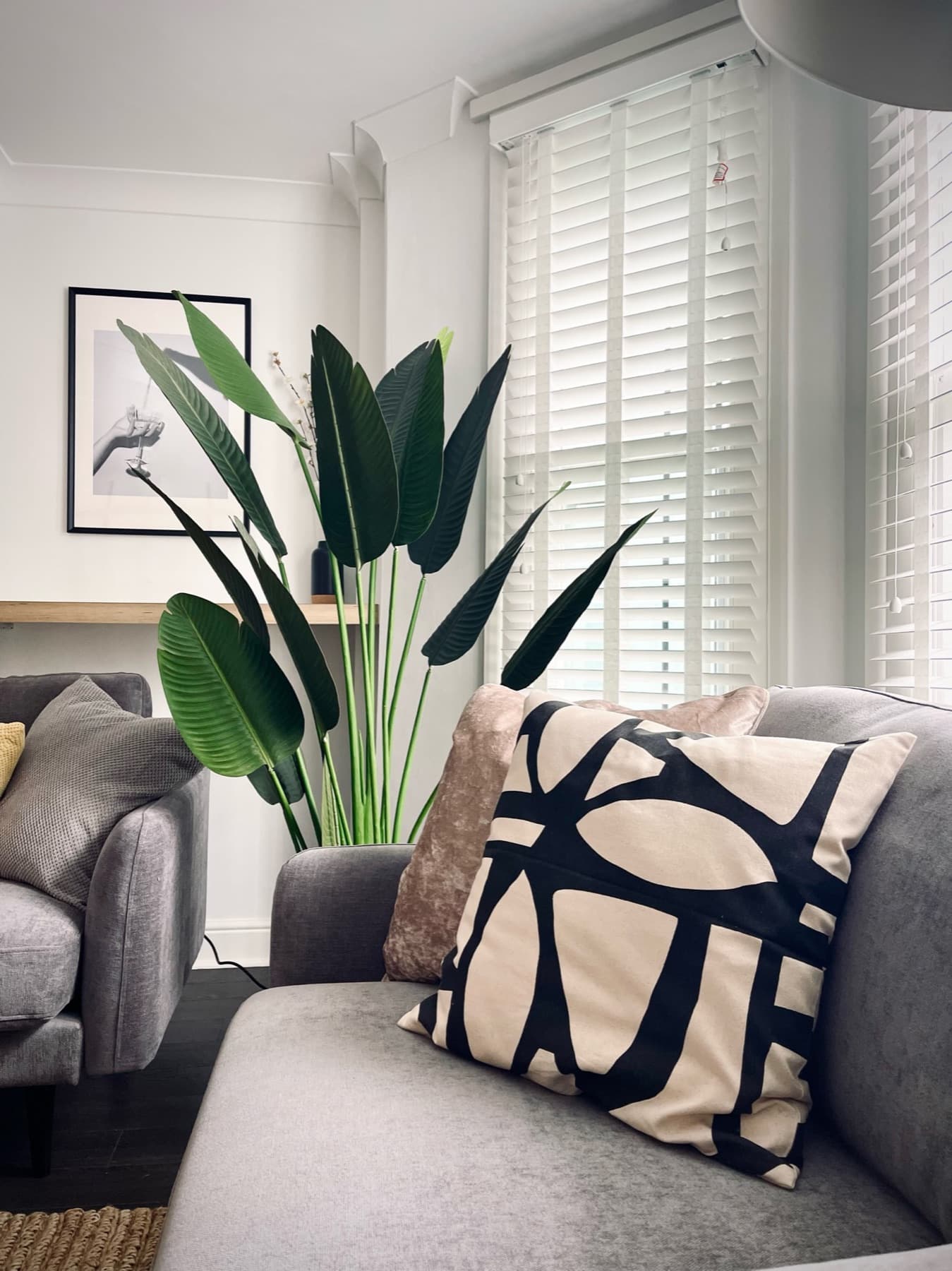 Living room corner with plants and patterned cushions by the shuttered window